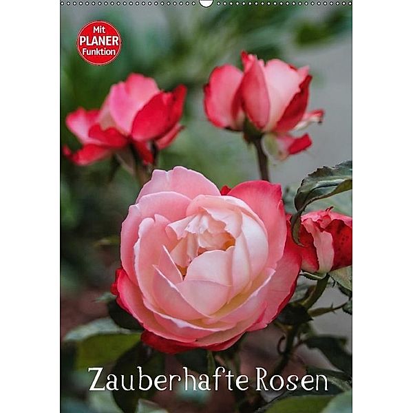 Zauberhafte Rosen (Wandkalender 2017 DIN A2 hoch), Andrea Potratz