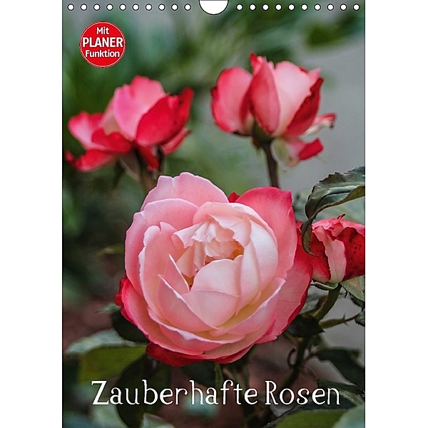 Zauberhafte Rosen (Wandkalender 2018 DIN A4 hoch), Andrea Potratz