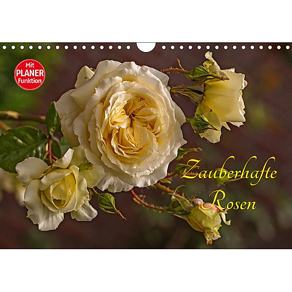 Zauberhafte Rosen (Wandkalender 2019 DIN A4 quer), Andrea Potratz