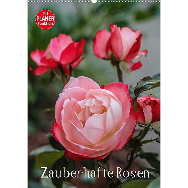 Zauberhafte Rosen (Wandkalender 2020 DIN A2 hoch), Andrea Potratz