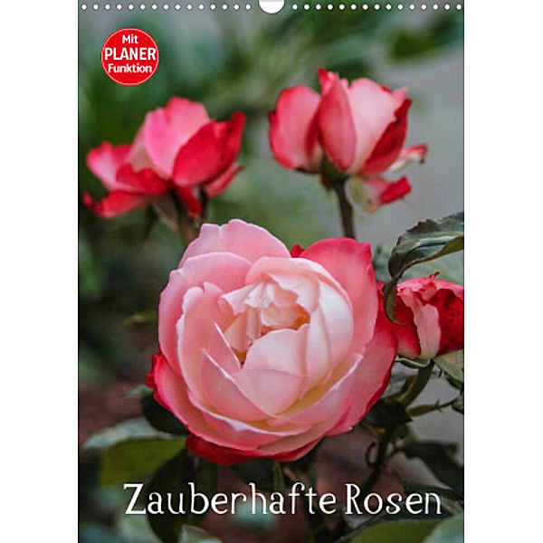 Zauberhafte Rosen (Wandkalender 2022 DIN A3 hoch), Andrea Potratz