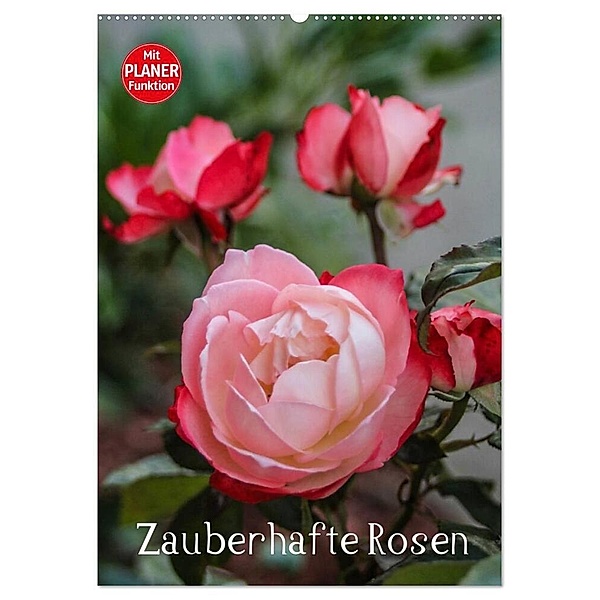 Zauberhafte Rosen (Wandkalender 2024 DIN A2 hoch), CALVENDO Monatskalender, Andrea Potratz