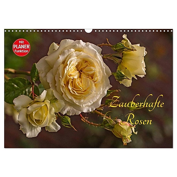 Zauberhafte Rosen (Wandkalender 2024 DIN A3 quer), CALVENDO Monatskalender, Andrea Potratz