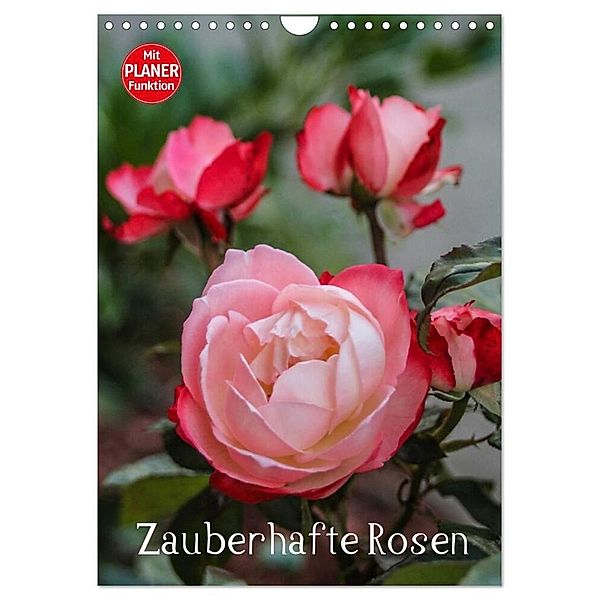 Zauberhafte Rosen (Wandkalender 2024 DIN A4 hoch), CALVENDO Monatskalender, Andrea Potratz