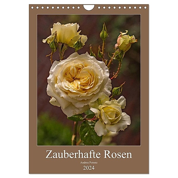Zauberhafte Rosen (Wandkalender 2024 DIN A4 hoch), CALVENDO Monatskalender, Andrea Potratz