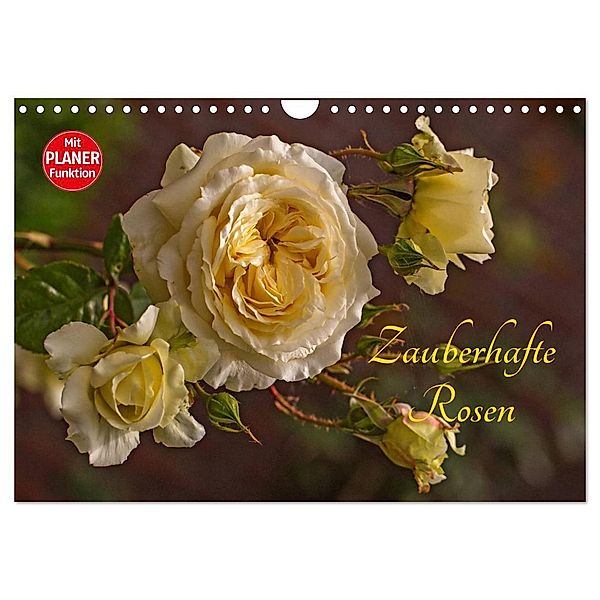 Zauberhafte Rosen (Wandkalender 2024 DIN A4 quer), CALVENDO Monatskalender, Andrea Potratz