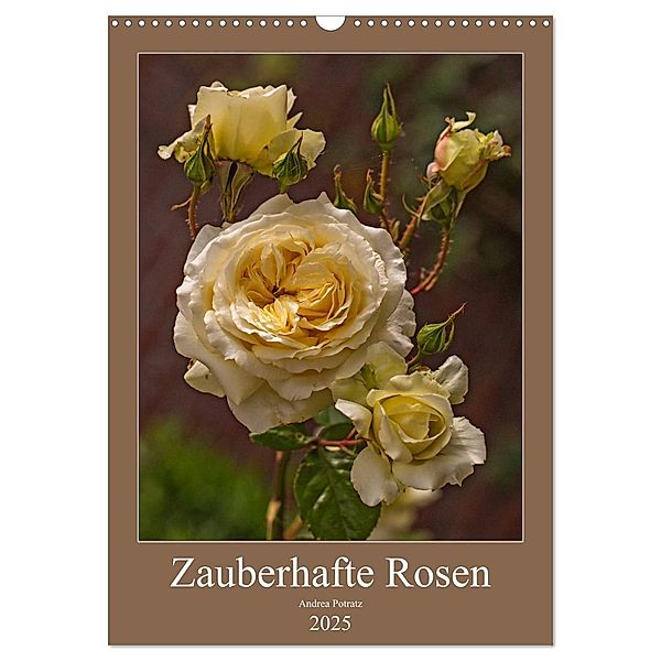 Zauberhafte Rosen (Wandkalender 2025 DIN A3 hoch), CALVENDO Monatskalender, Calvendo, Andrea Potratz
