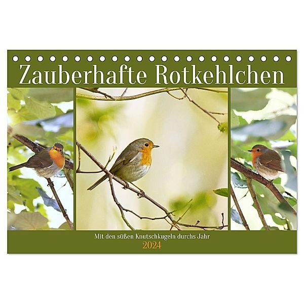 Zauberhafte Rotkehlchen (Tischkalender 2024 DIN A5 quer), CALVENDO Monatskalender, Sabine Löwer