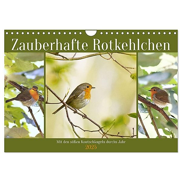 Zauberhafte Rotkehlchen (Wandkalender 2025 DIN A4 quer), CALVENDO Monatskalender, Calvendo, Sabine Löwer