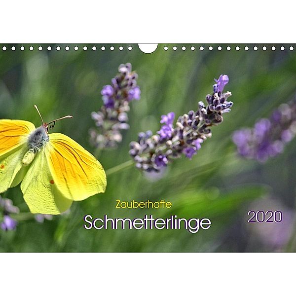 Zauberhafte Schmetterlinge (Wandkalender 2020 DIN A4 quer), Ela May