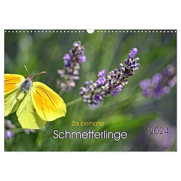Zauberhafte Schmetterlinge (Wandkalender 2024 DIN A3 quer), CALVENDO Monatskalender, Ela May