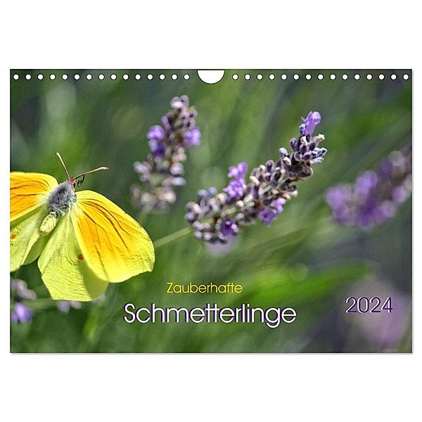 Zauberhafte Schmetterlinge (Wandkalender 2024 DIN A4 quer), CALVENDO Monatskalender, Ela May