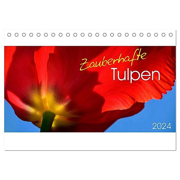 Zauberhafte Tulpen (Tischkalender 2024 DIN A5 quer), CALVENDO Monatskalender, Gesine Trabant