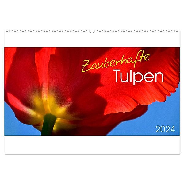 Zauberhafte Tulpen (Wandkalender 2024 DIN A2 quer), CALVENDO Monatskalender, Gesine Trabant