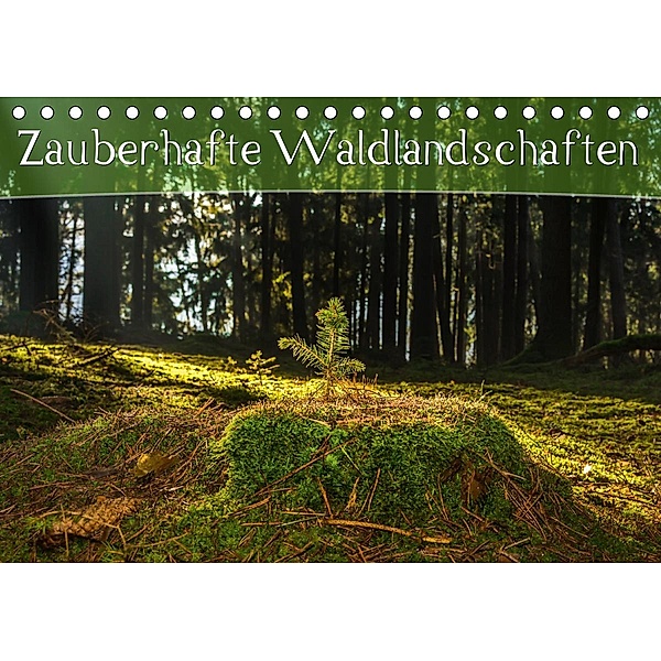 Zauberhafte Waldlandschaften (Tischkalender 2021 DIN A5 quer), Marcel Wenk