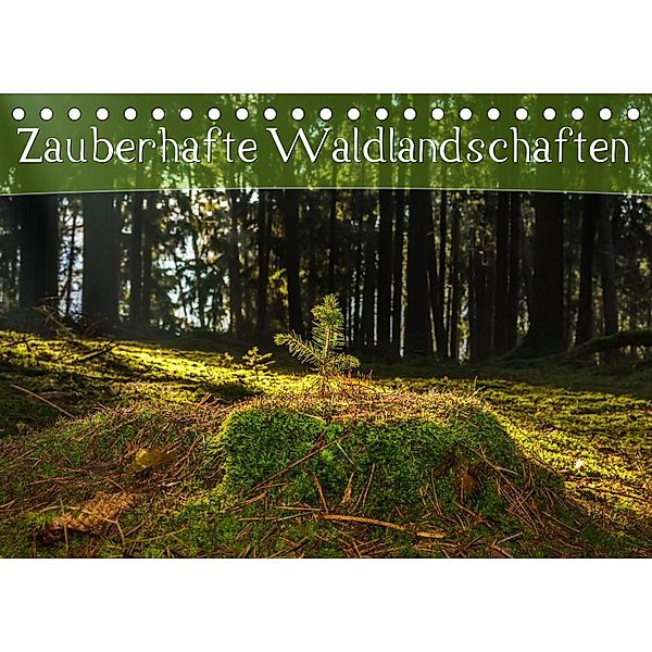 Zauberhafte Waldlandschaften (Tischkalender 2023 DIN A5 quer), Marcel Wenk