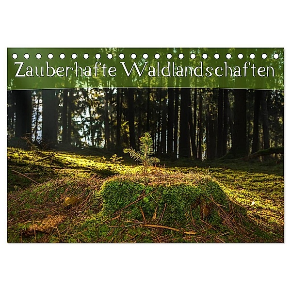 Zauberhafte Waldlandschaften (Tischkalender 2024 DIN A5 quer), CALVENDO Monatskalender, Marcel Wenk