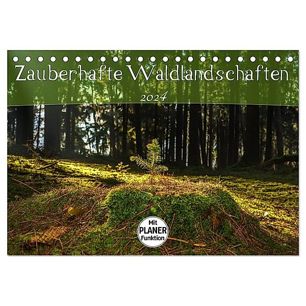 Zauberhafte Waldlandschaften (Tischkalender 2024 DIN A5 quer), CALVENDO Monatskalender, Marcel Wenk