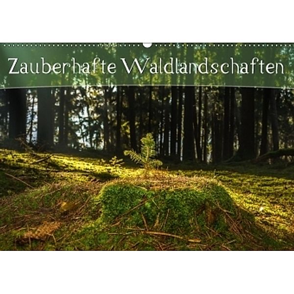 Zauberhafte Waldlandschaften (Wandkalender 2017 DIN A2 quer), Marcel Wenk