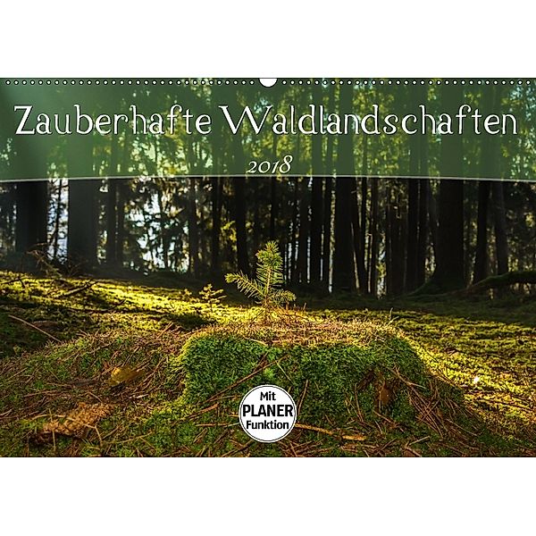 Zauberhafte Waldlandschaften (Wandkalender 2018 DIN A2 quer), Marcel Wenk