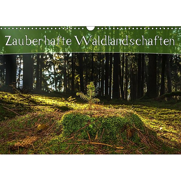 Zauberhafte Waldlandschaften (Wandkalender 2020 DIN A3 quer), Marcel Wenk