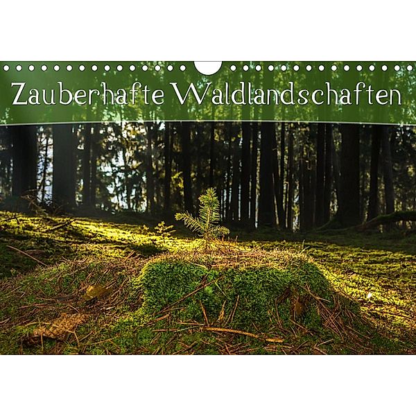 Zauberhafte Waldlandschaften (Wandkalender 2021 DIN A4 quer), Marcel Wenk