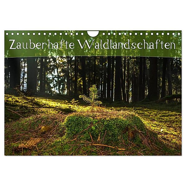 Zauberhafte Waldlandschaften (Wandkalender 2024 DIN A4 quer), CALVENDO Monatskalender, Marcel Wenk