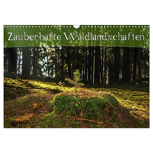 Zauberhafte Waldlandschaften (Wandkalender 2024 DIN A3 quer), CALVENDO Monatskalender, Marcel Wenk