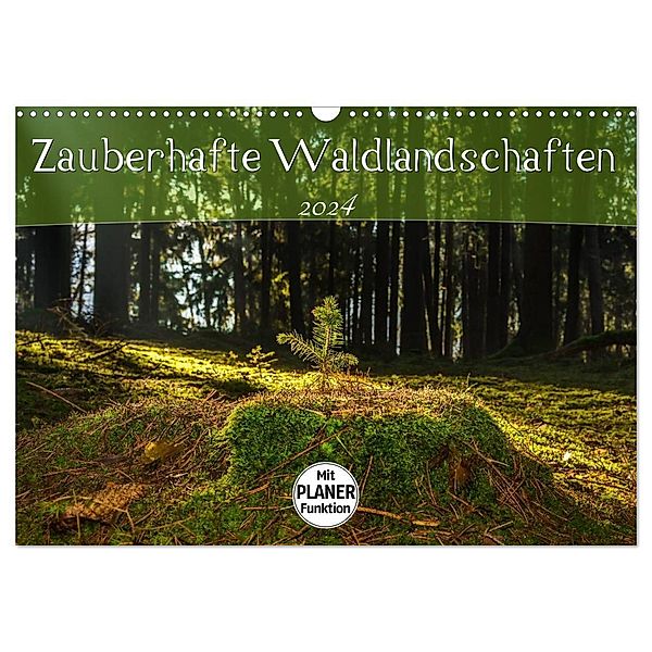 Zauberhafte Waldlandschaften (Wandkalender 2024 DIN A3 quer), CALVENDO Monatskalender, Marcel Wenk