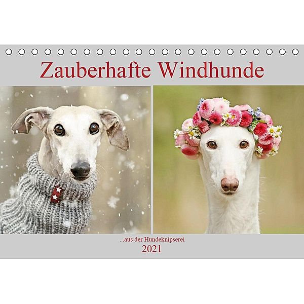 Zauberhafte Windhunde (Tischkalender 2021 DIN A5 quer), Kathrin Köntopp