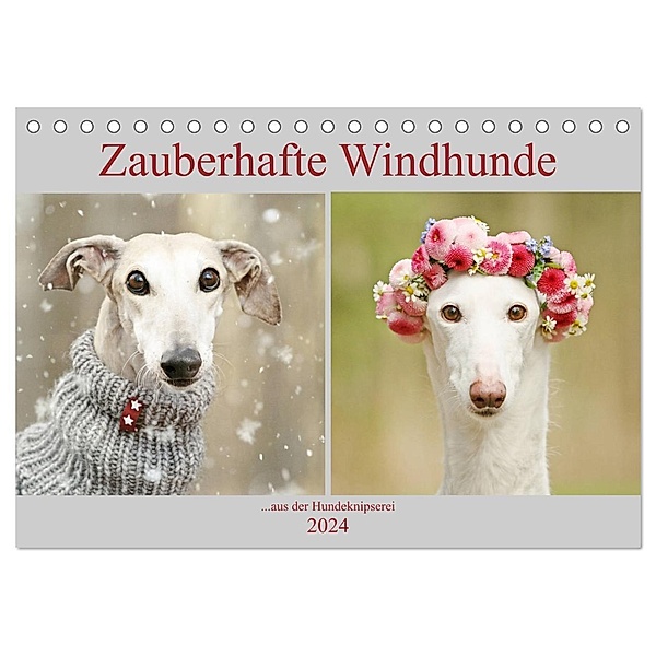 Zauberhafte Windhunde (Tischkalender 2024 DIN A5 quer), CALVENDO Monatskalender, Kathrin Köntopp