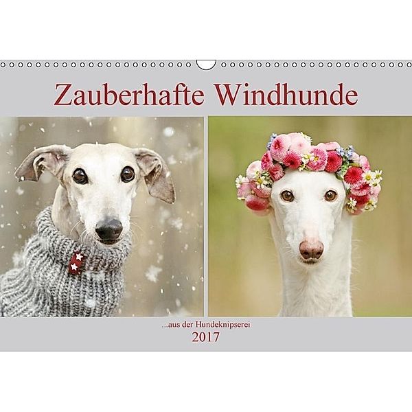Zauberhafte Windhunde (Wandkalender 2017 DIN A3 quer), Kathrin Köntopp