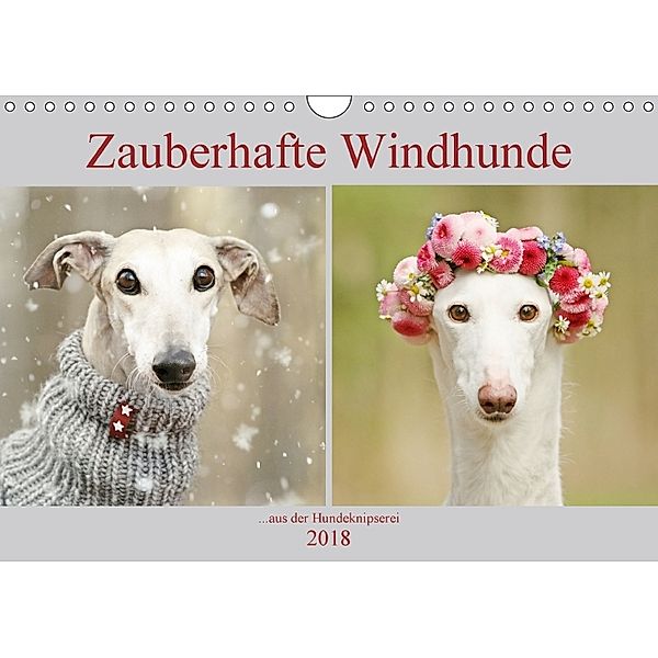 Zauberhafte Windhunde (Wandkalender 2018 DIN A4 quer), Kathrin Köntopp