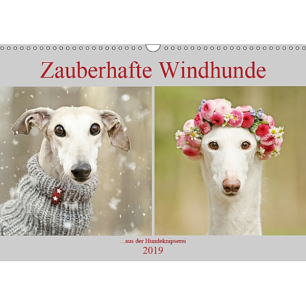 Zauberhafte Windhunde (Wandkalender 2019 DIN A3 quer), Kathrin Köntopp