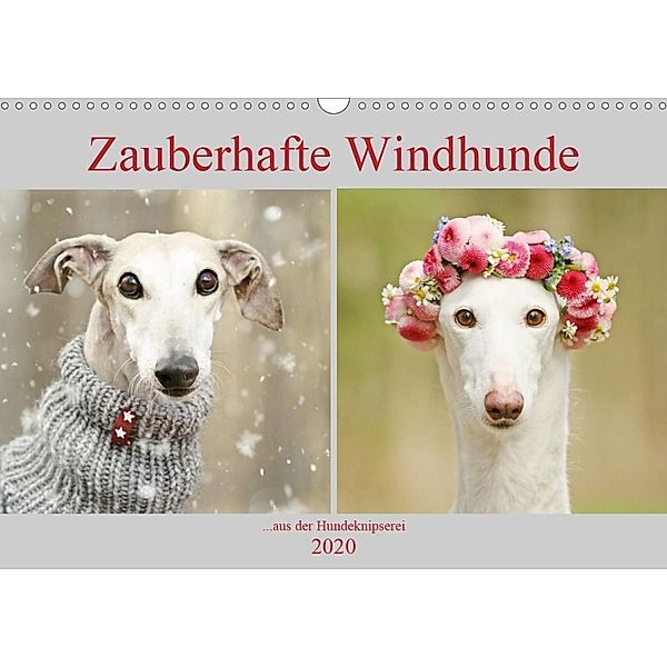 Zauberhafte Windhunde (Wandkalender 2020 DIN A3 quer), Kathrin Köntopp