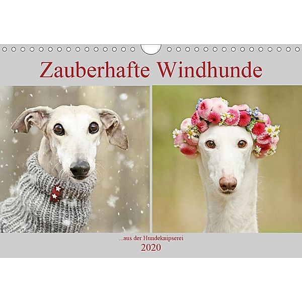 Zauberhafte Windhunde (Wandkalender 2020 DIN A4 quer), Kathrin Köntopp