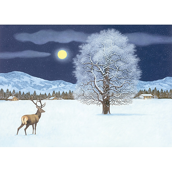 Zauberhafte Winternacht  Adventskalender, Thomas Müller