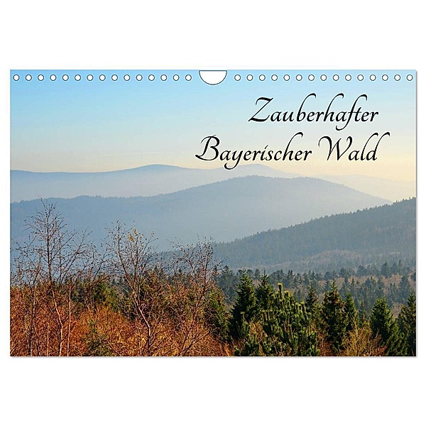 Zauberhafter Bayerischer Wald (Wandkalender 2024 DIN A4 quer), CALVENDO Monatskalender, Karin Stein
