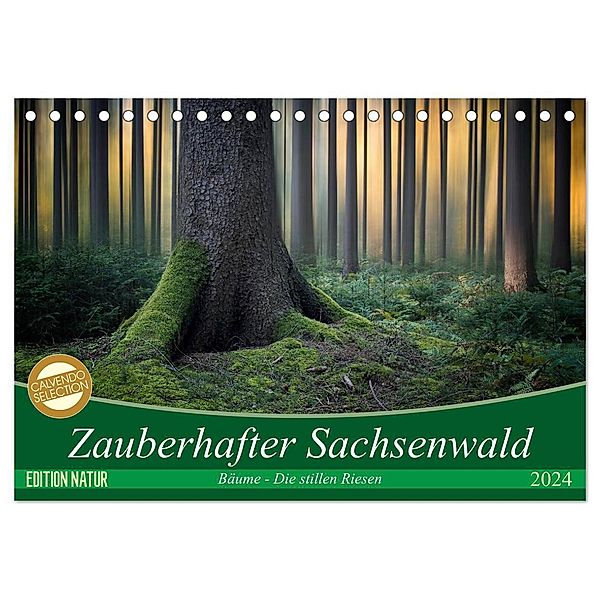 Zauberhafter Sachsenwald (Tischkalender 2024 DIN A5 quer), CALVENDO Monatskalender, Carsten Meyerdierks