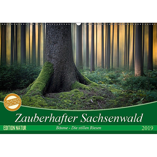 Zauberhafter Sachsenwald (Wandkalender 2019 DIN A2 quer), Carsten Meyerdierks