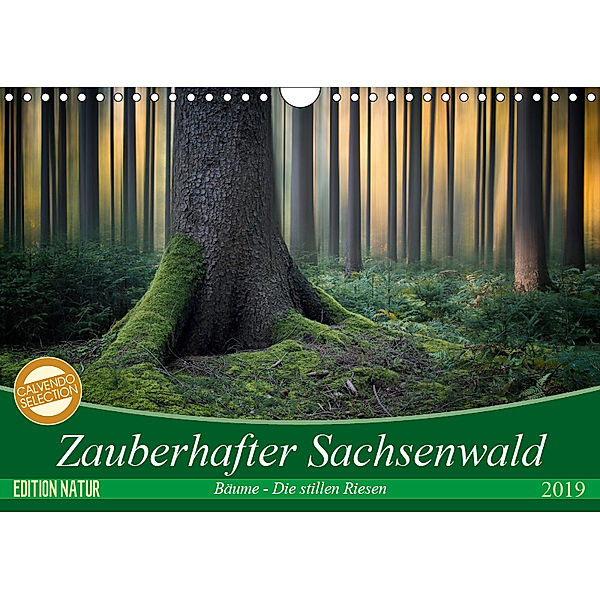 Zauberhafter Sachsenwald (Wandkalender 2019 DIN A4 quer), Carsten Meyerdierks