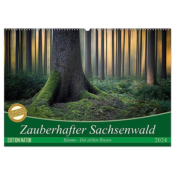 Zauberhafter Sachsenwald (Wandkalender 2024 DIN A2 quer), CALVENDO Monatskalender, Carsten Meyerdierks