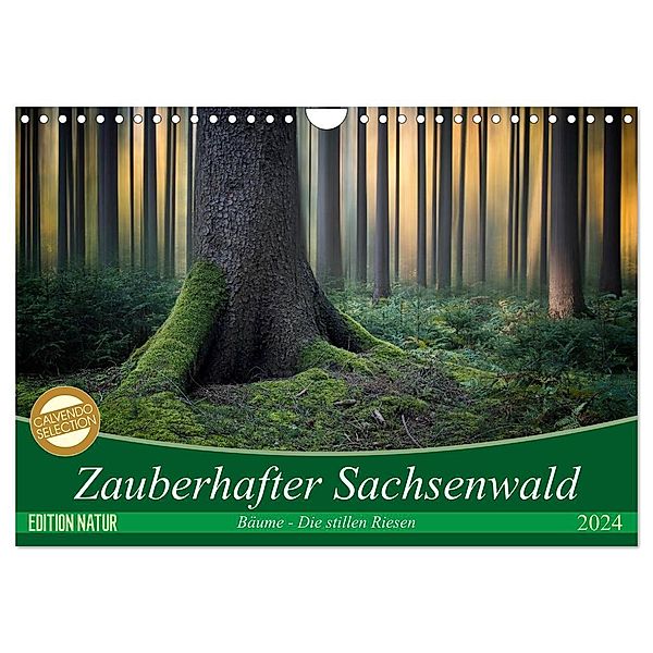 Zauberhafter Sachsenwald (Wandkalender 2024 DIN A4 quer), CALVENDO Monatskalender, Carsten Meyerdierks