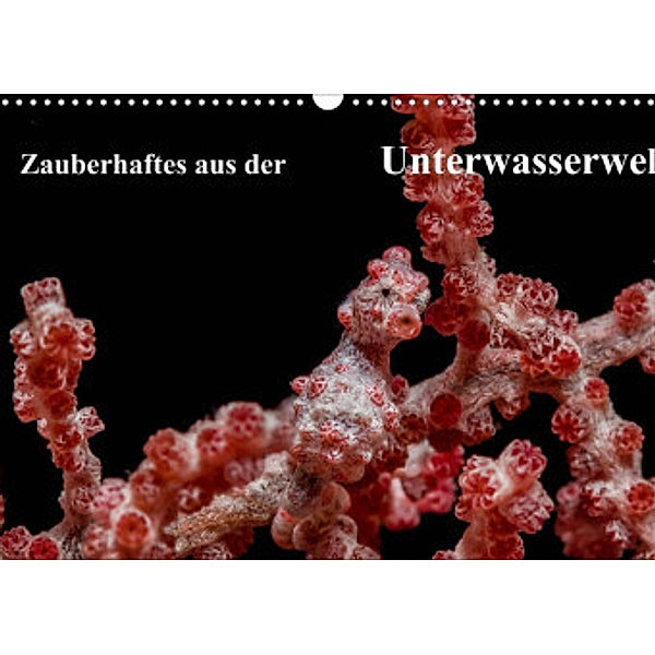 Zauberhaftes aus der Unterwasserwelt (Wandkalender 2022 DIN A3 quer), Sidney Smith