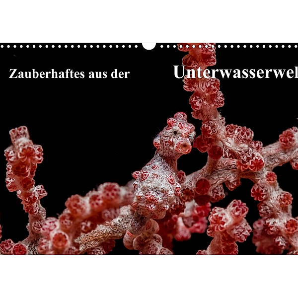 Zauberhaftes aus der Unterwasserwelt (Wandkalender 2023 DIN A3 quer), Sidney Smith