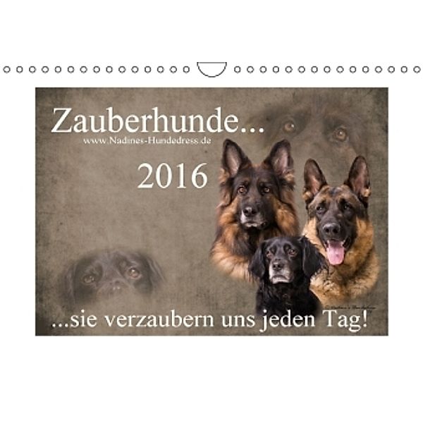 Zauberhunde... sie verzaubern uns jeden Tag! (Wandkalender 2016 DIN A4 quer), Nadine Hofer-Ott