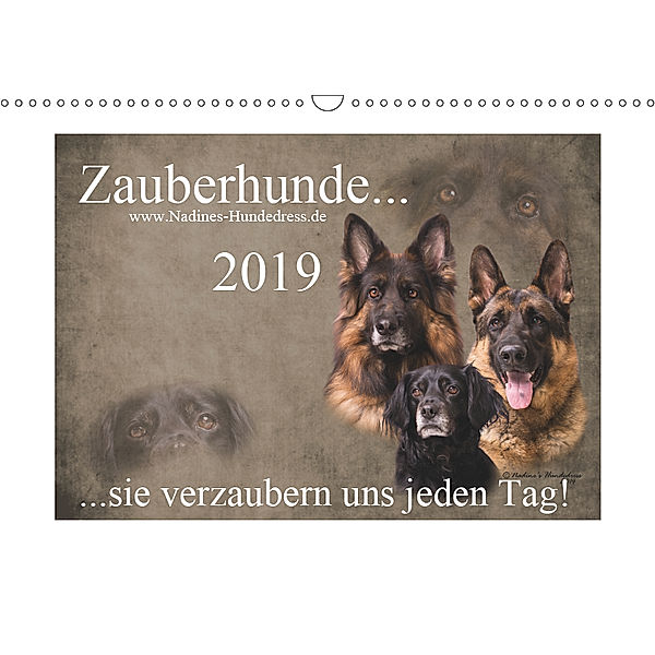 Zauberhunde... sie verzaubern uns jeden Tag! (Wandkalender 2019 DIN A3 quer), Nadine Hofer-Ott