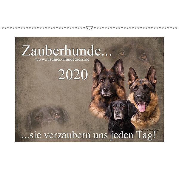 Zauberhunde... sie verzaubern uns jeden Tag! (Wandkalender 2020 DIN A2 quer), Nadine Hofer-Ott