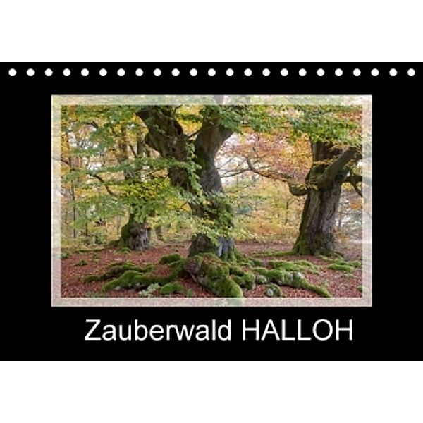 Zauberwald HALLOH (Tischkalender 2016 DIN A5 quer), Marion Maurer