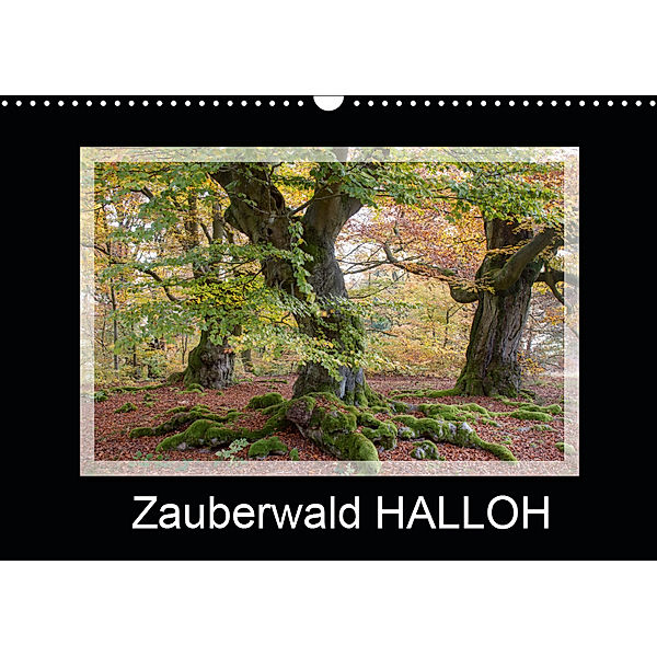 Zauberwald HALLOH (Wandkalender 2019 DIN A3 quer), Marion Maurer